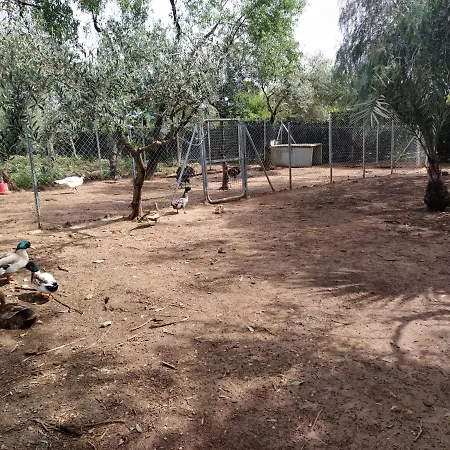 Apartamento Alegría *