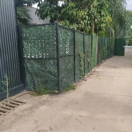 Alegría * Sevilla