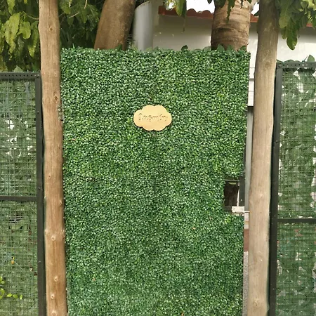 Apartamento Alegría