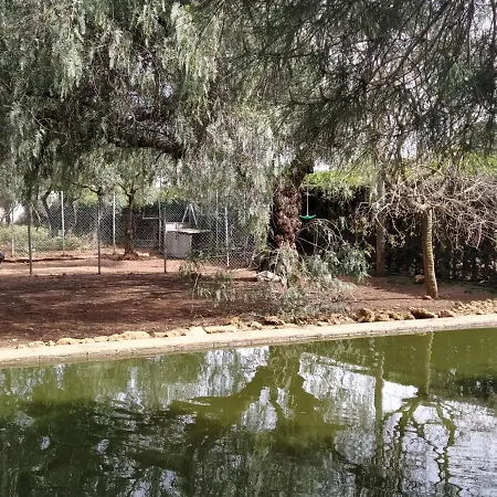 דירה Abba סביליה